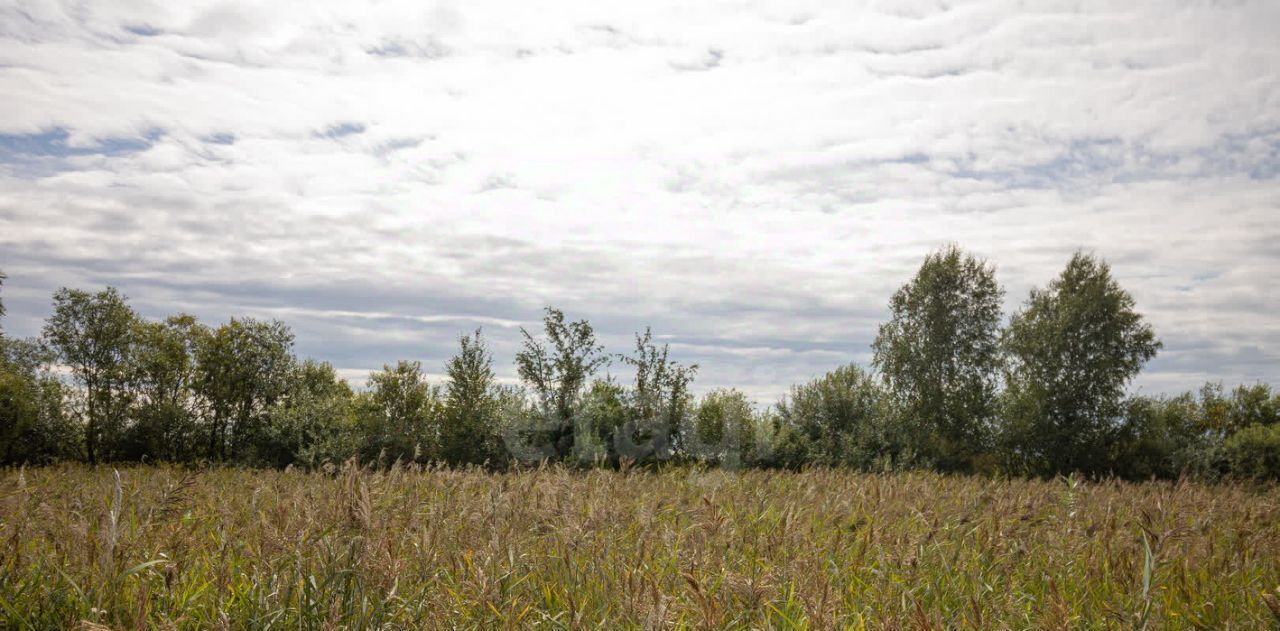 земля р-н Ярковский с Покровское Покровское сельское поселение фото 20