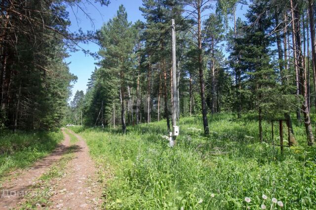 земля д Некрасово СТ Медик фото