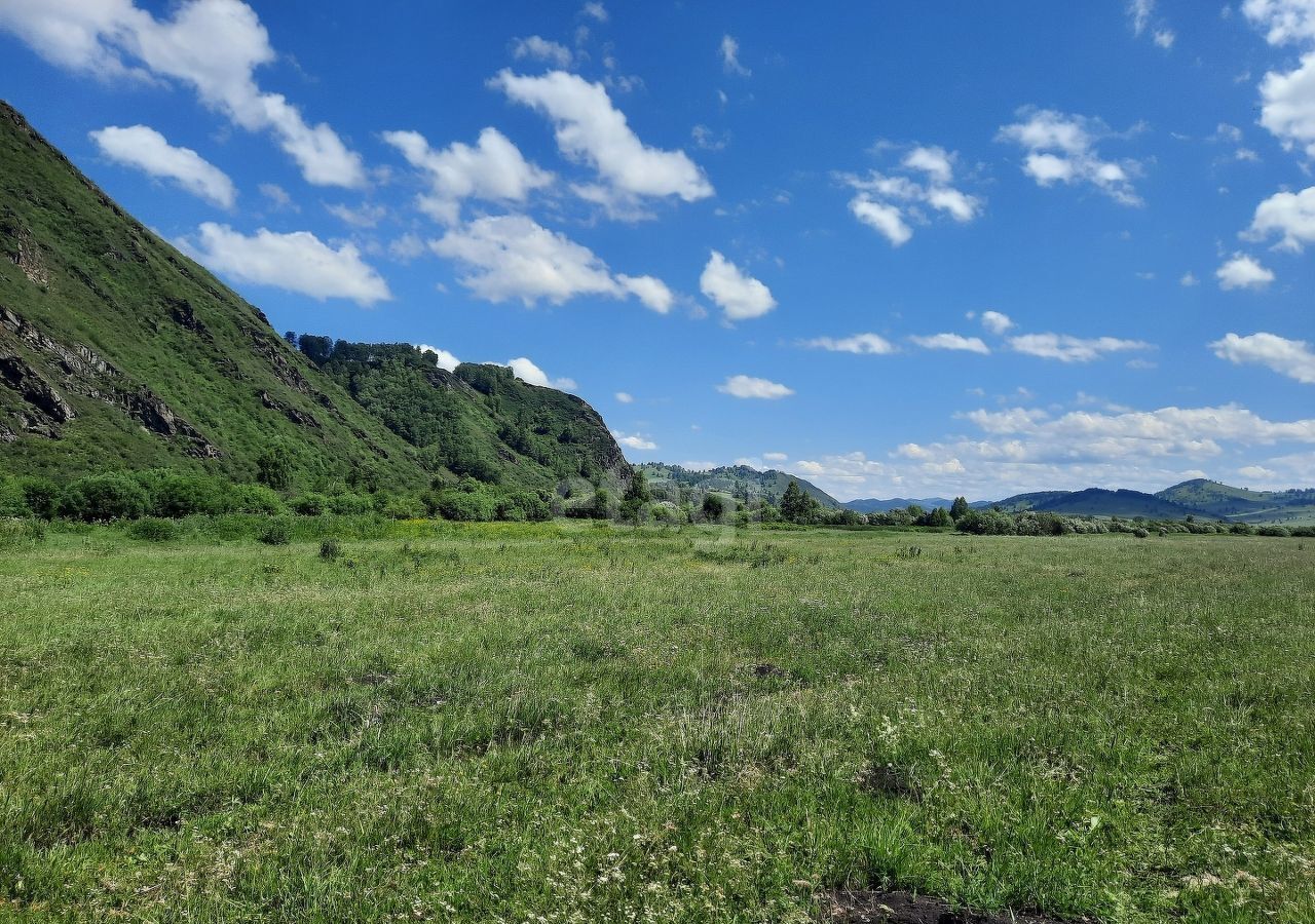 земля р-н Алтайский с Алтайское фото 2