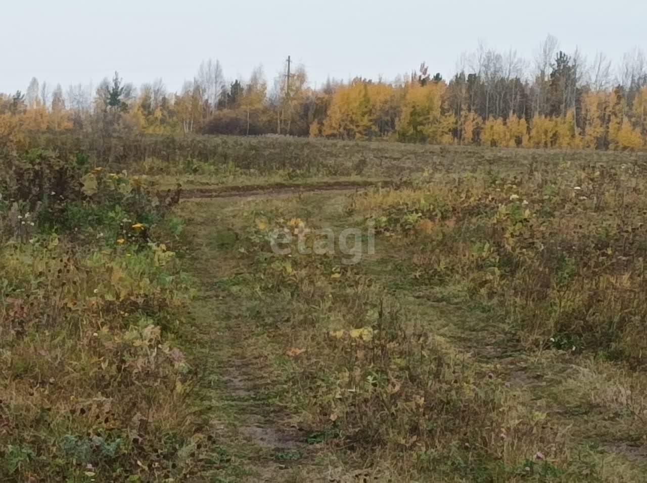 земля г Алапаевск ул Старых Большевиков фото 1