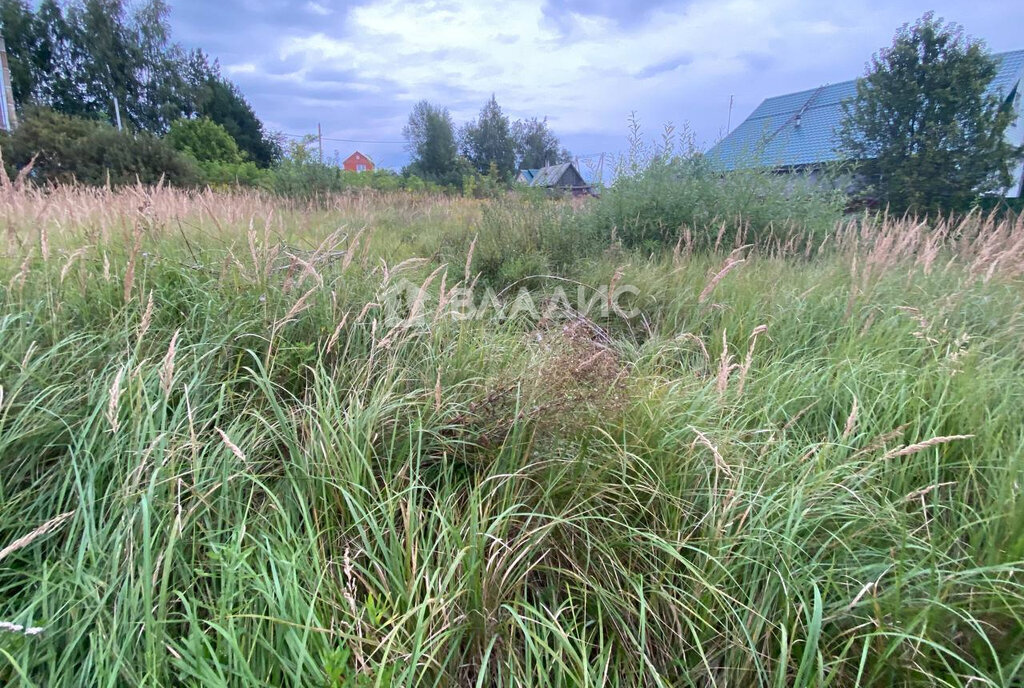 земля городской округ Воскресенск д Расловлево ул Свободная фото 8