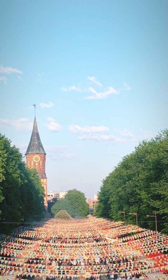 квартира г Калининград р-н Московский ул Октябрьская 49 фото 20
