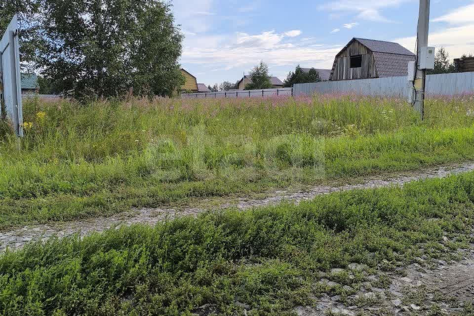 земля городской округ Богородский посёлок Зелёный фото 3