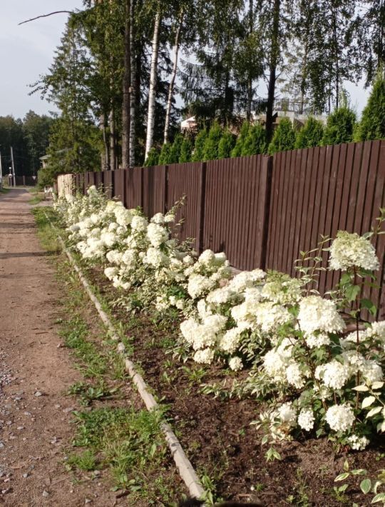 дом р-н Всеволожский массив Белоостров снт Осинка Сертоловское городское поселение, 258 фото 39