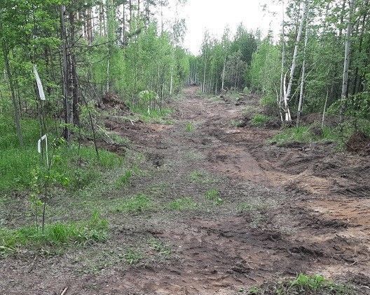 п Кедровое Старотагильский тракт, 20 км, Среднеуральск фото