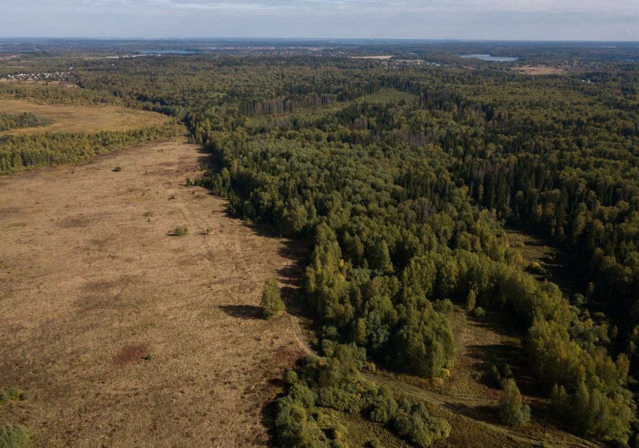 земля городской округ Истра д Алёхново 41 км, Истра, Пятницкое шоссе фото 10