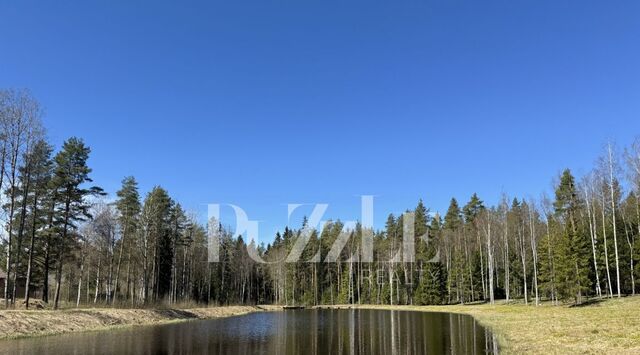 п Ольшаники пос, Первомайское с фото