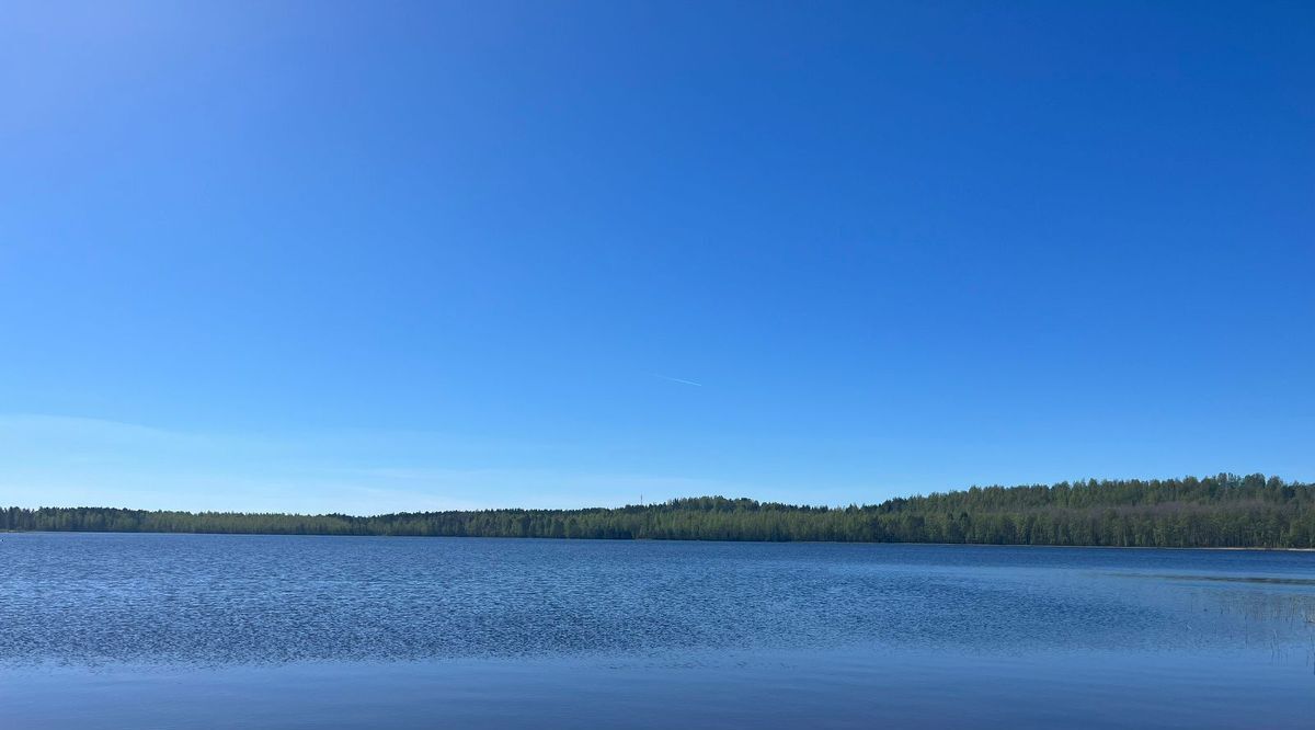 дом р-н Всеволожский Токсовское городское поселение, Экофорест кп фото 9