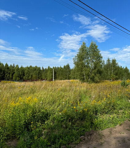 ул Полевая фото