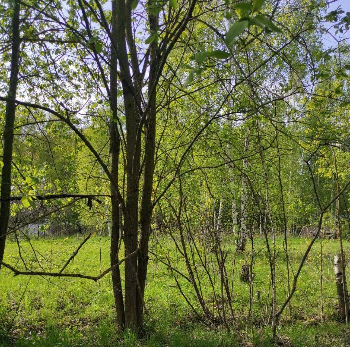 земля городской округ Клин д Княгинино Троицкое, Нагорное фото 11