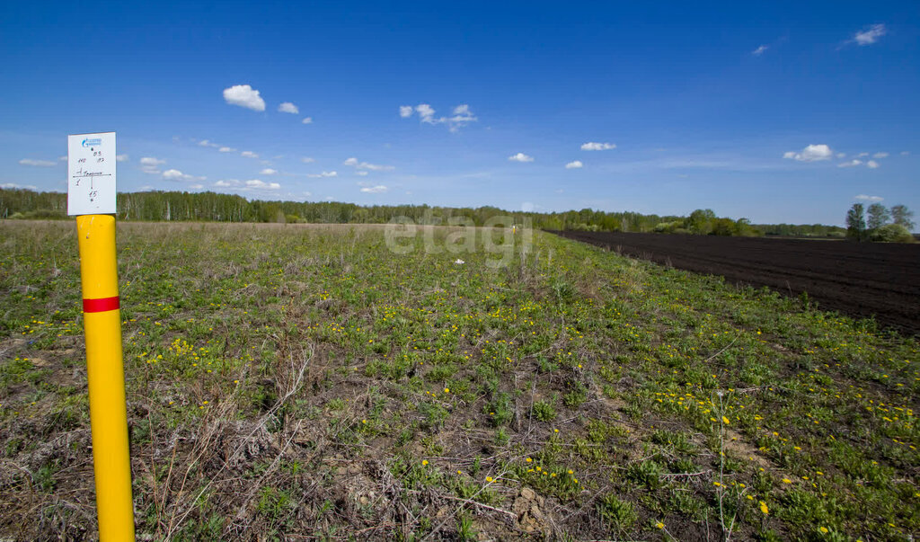 земля г Заводоуковск фото 3