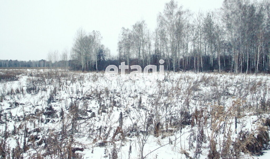 земля р-н Заводоуковский п Озерки фото 5