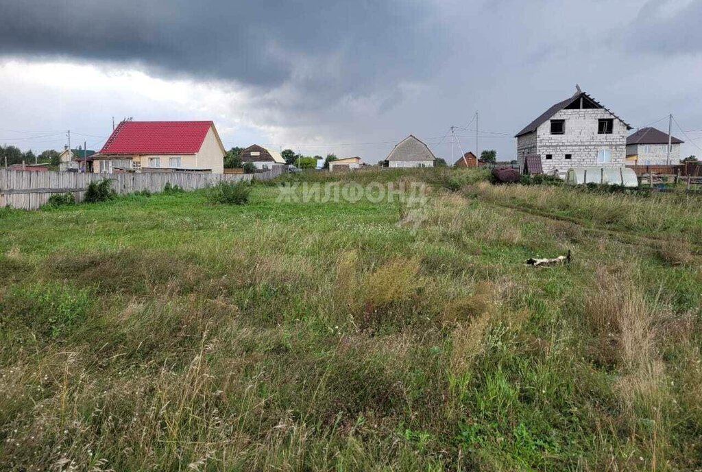 земля р-н Коченевский с Катково ул Трактовая фото 2