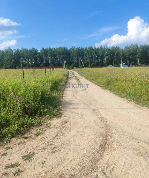 земля городской округ Сергиево-Посадский д Березняки фото 12