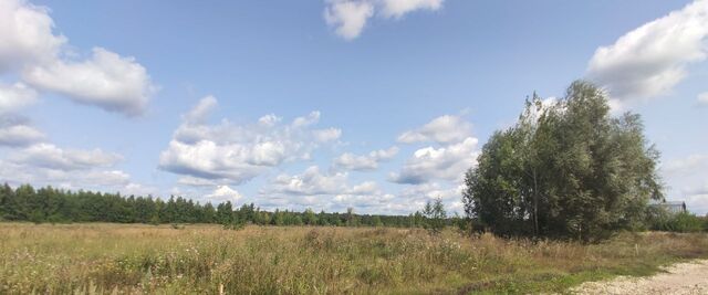 ул Луговая Новомайнское городское поселение фото