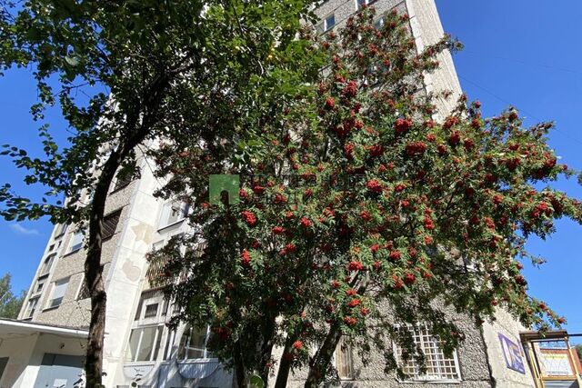 р-н Устиновский Аэропорт ул Молодежная 101 городской округ Ижевск фото