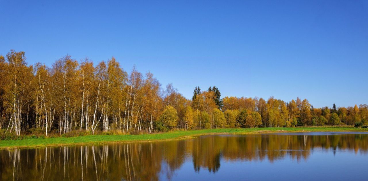 земля городской округ Клин д Ситники фото 21