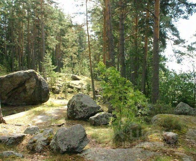 земля р-н Приозерский п Саперное Мельниковское сельское поселение, Дачная улица фото 4