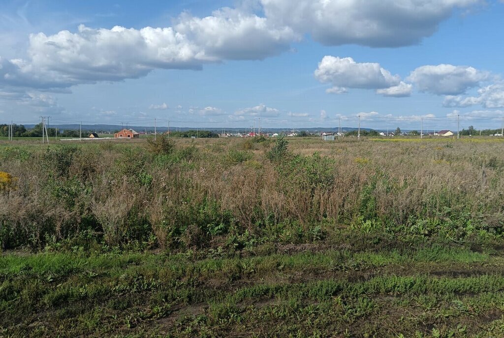 земля р-н Кармаскалинский д Кабаково ул Виноградная фото 2