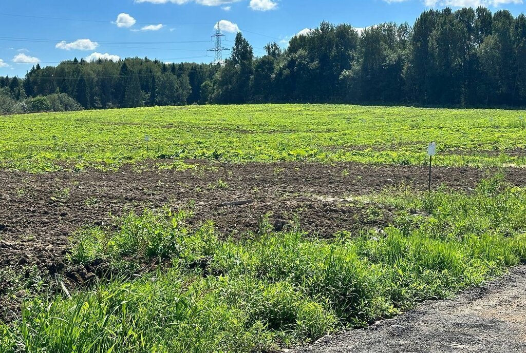 земля городской округ Дмитровский коттеджный поселок «Сорочаны» городской округ Клин фото 2