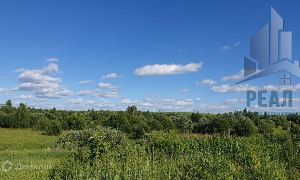 земля р-н Дальнеконстантиновский село Борисово-Покровское фото 2