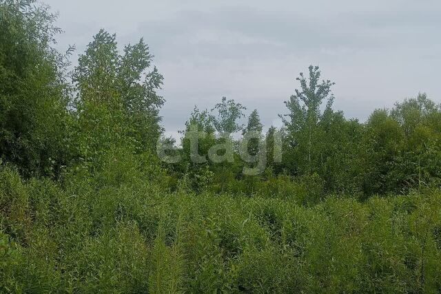 земля квартал Амурский фото