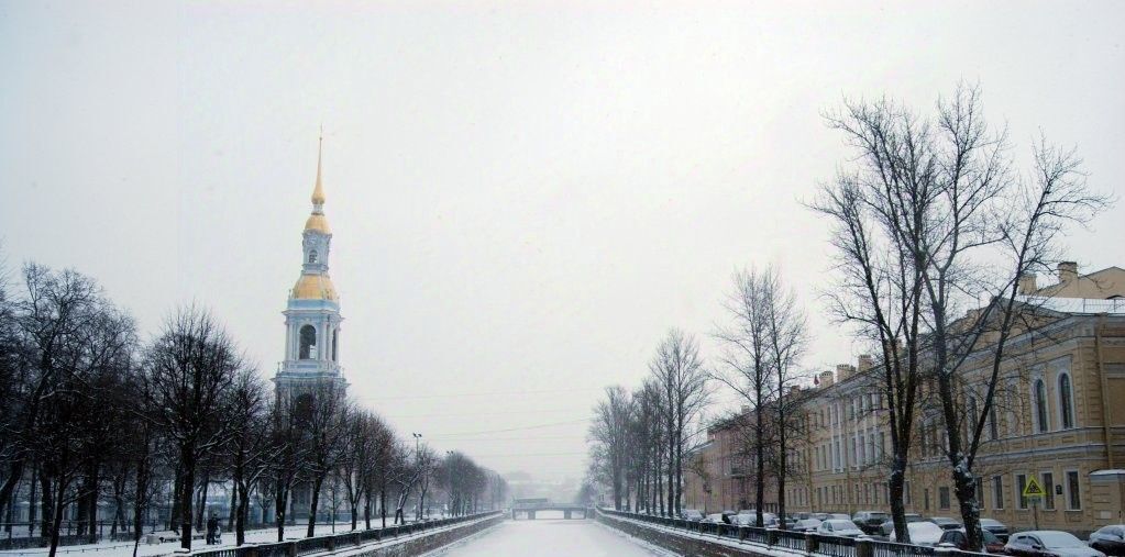 комната г Санкт-Петербург р-н Адмиралтейский пр-кт Римского-Корсакова 45 фото 14