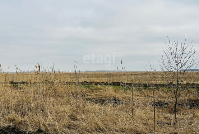 р-н Центральный микрорайон Дубинка ул Лесная фото