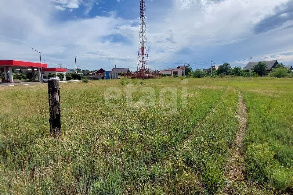 земля г Черногорск ул Янкова 31 городской округ Черногорск фото 6