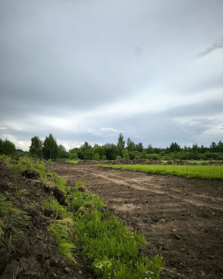 земля городской округ Раменский д Меткомелино 42 км, Берёзовая аллея, Электроизолятор, СНТ Коптево, Егорьевское шоссе фото 3