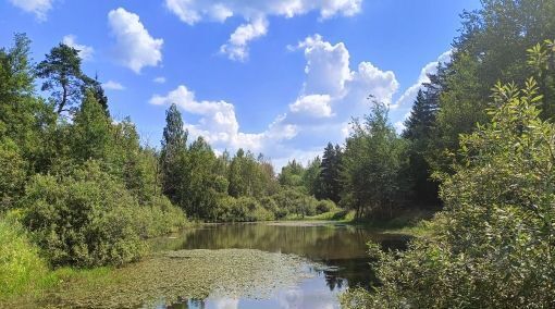 дом городской округ Раменский д Вялки снт Крона Ильинская, 71 фото 33