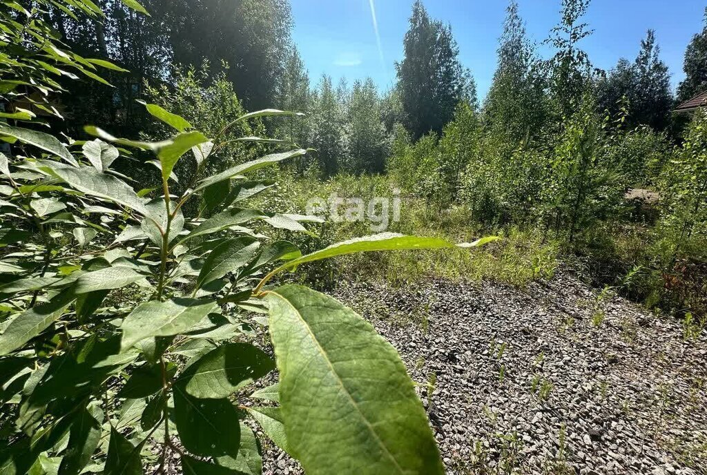 земля р-н Всеволожский г Всеволожск Ладожская фото 12