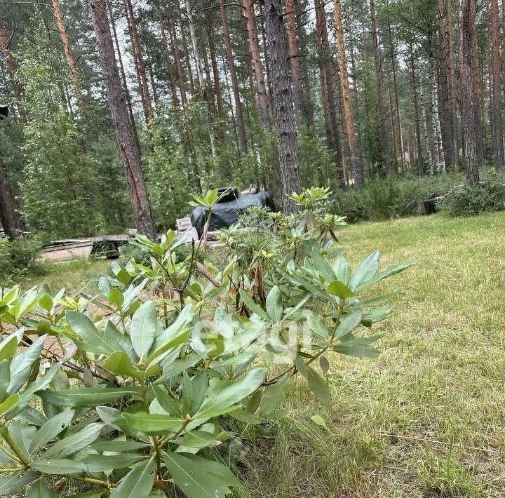 дом р-н Всеволожский массив Мертуть снт Заозерное Сертоловское городское поселение, 460 фото 10