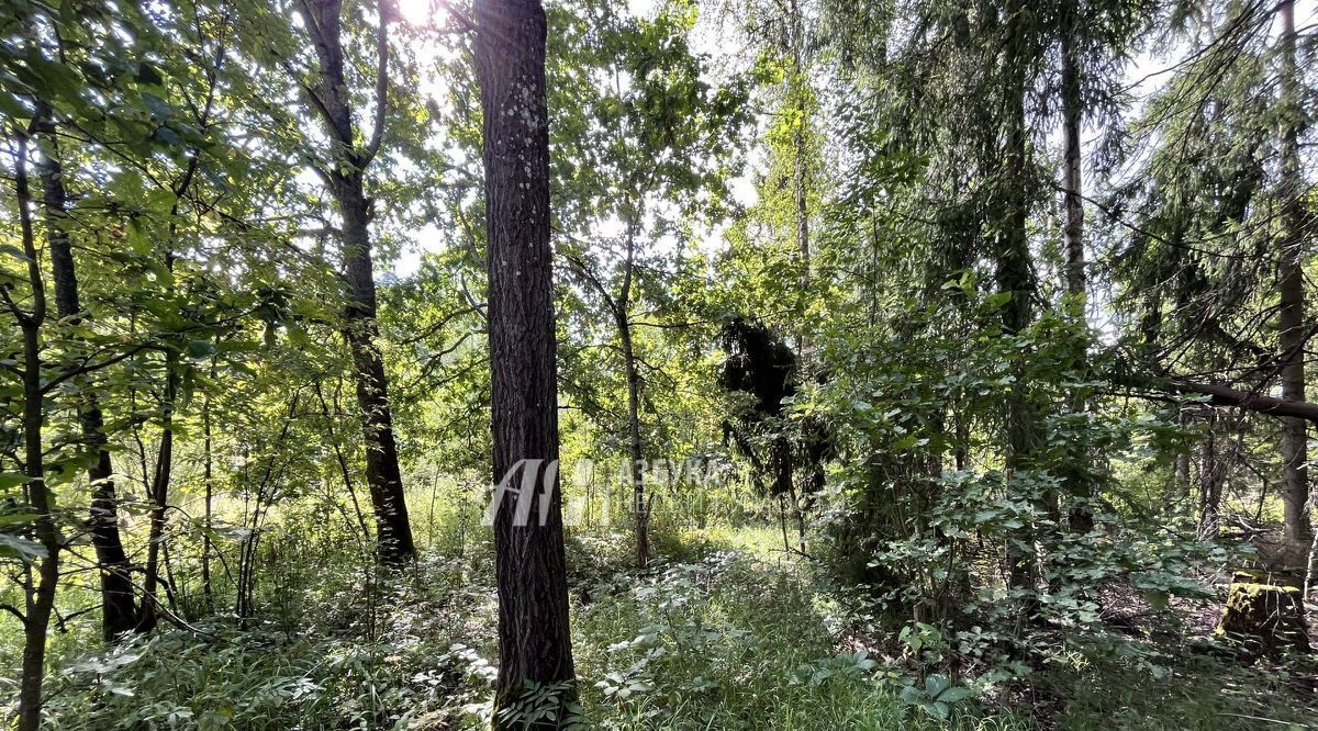 земля городской округ Пушкинский д Могильцы р-н мкр Пушкинский лес ул. Лесная фото 5