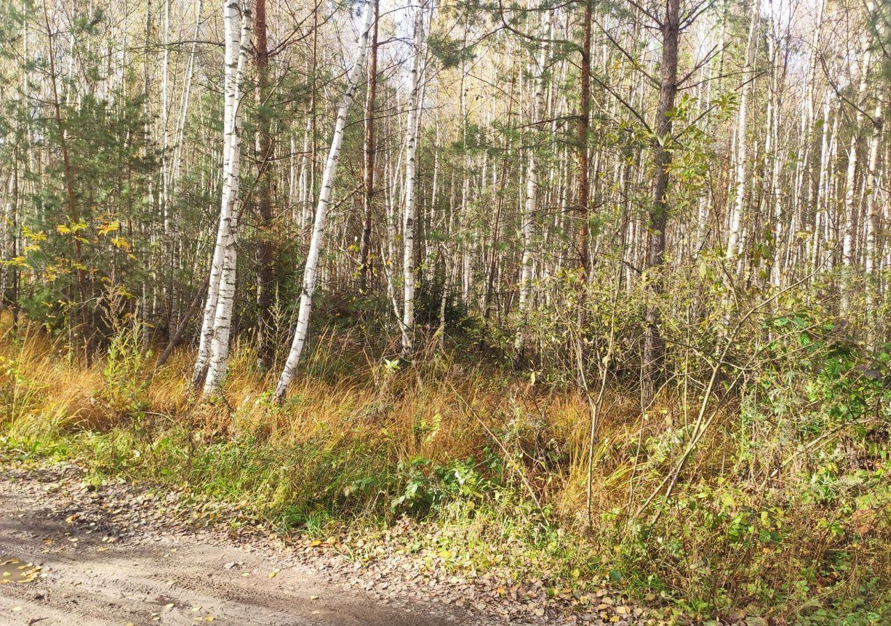 земля г Раменское снт Садко ул Центральная 102 км, городской округ Шатура, г. о. Шатура, Шатурторф, Егорьевское шоссе фото 2