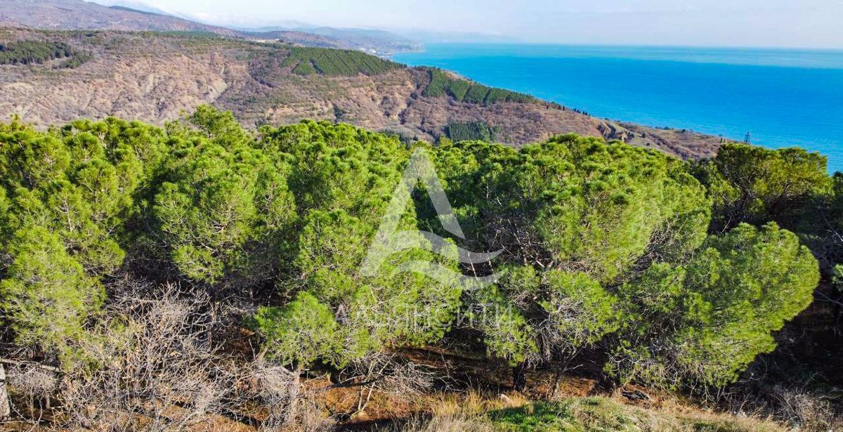 земля г Алушта п Семидворье р-н мкр Александрийская дача дача фото 7