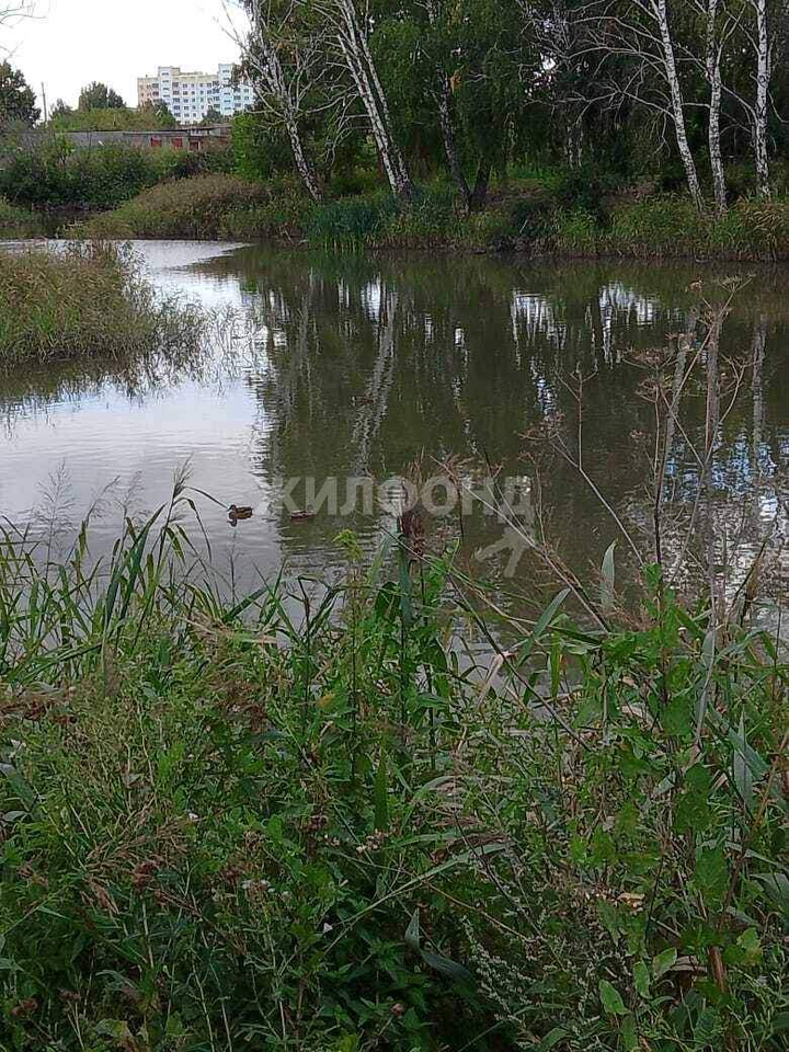 квартира г Новосибирск р-н Кировский ул Виктора Уса 7 жилой массив Тулинское Площадь Маркса фото 24