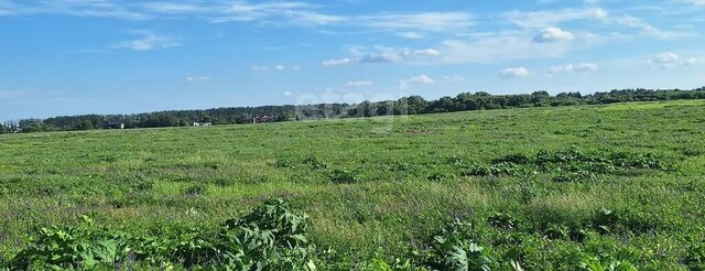 д Кресты муниципальное образование, Новомосковск фото