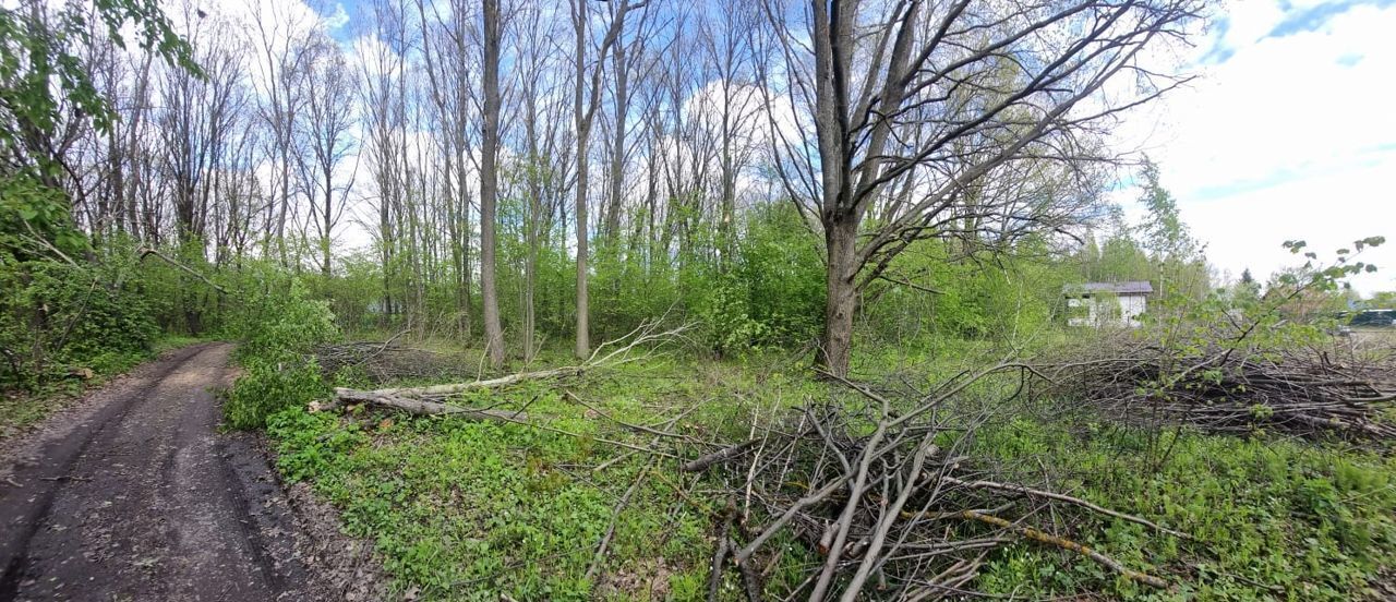 земля р-н Богородский п Буревестник сельский пос. Лисьи Ямки, Совхозная ул фото 7