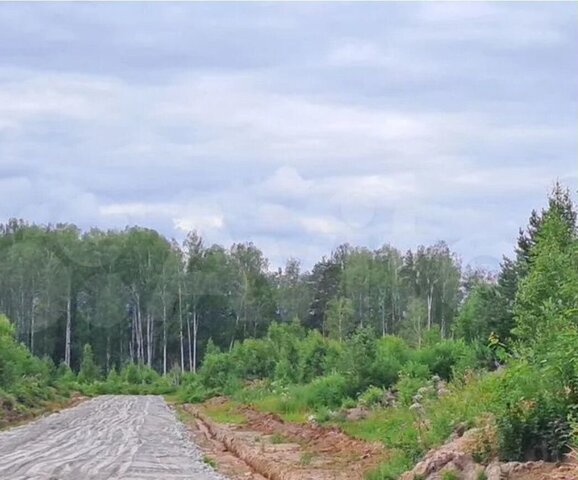 п Монетный № 127 Дачник, Крайняя ул., 15, садовое некоммерческое товарищество фото