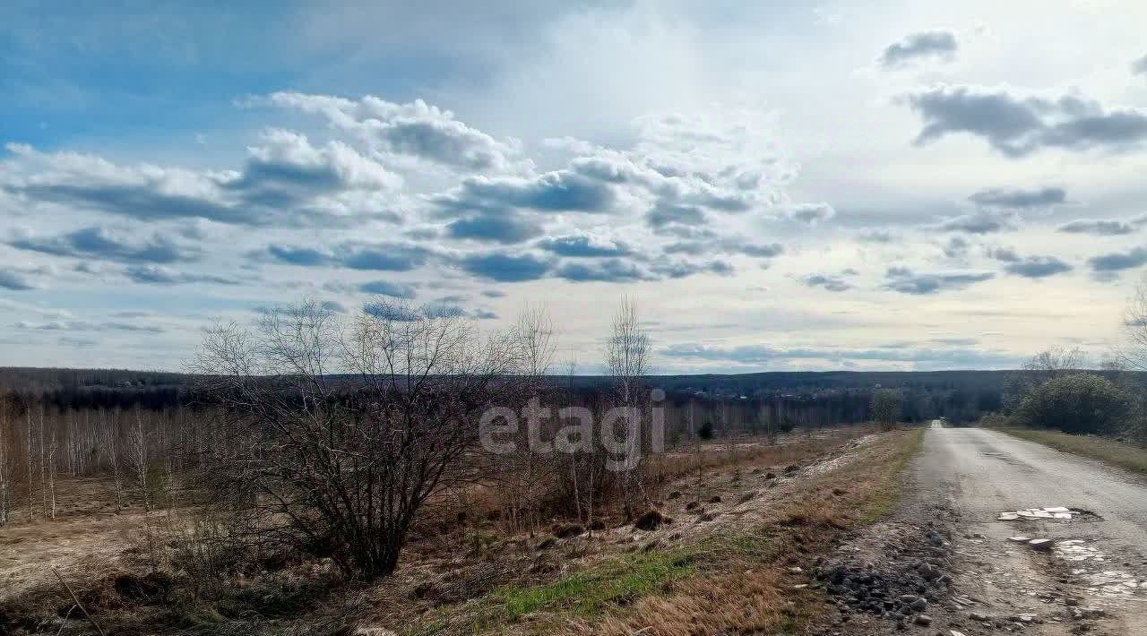 земля р-н Богородский д Касаниха фото 6