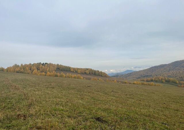 п Верх-Анос ул Центральная Горно-Алтайск фото