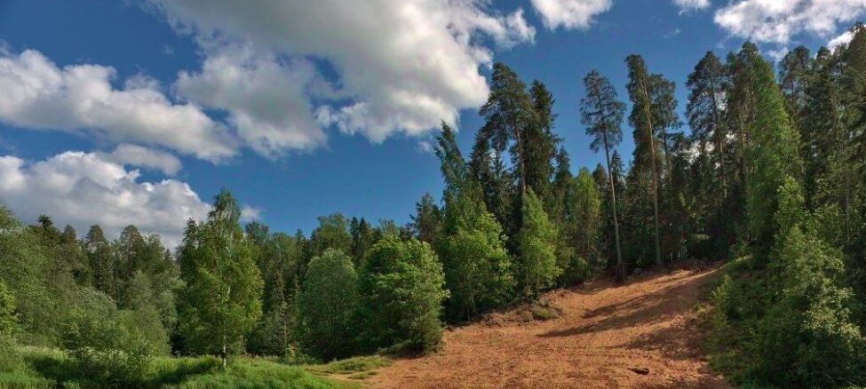 дом р-н Гатчинский Сиверский городской поселок, Московская, ул. Федоровская, 17 фото 20