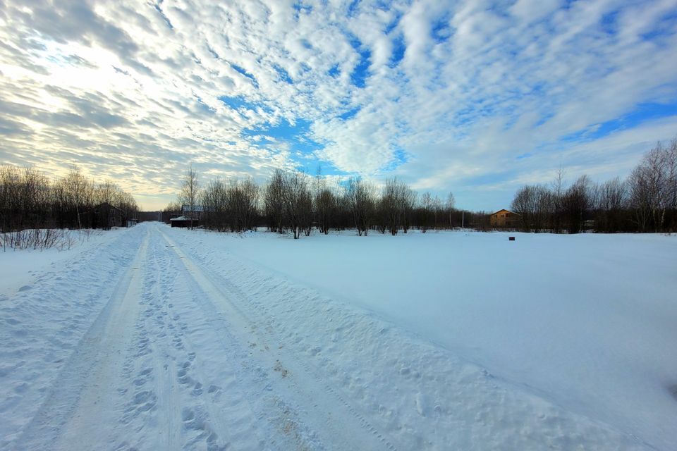 земля городской округ Раменский д Вишняково ул Абрикосовая 21 фото 5