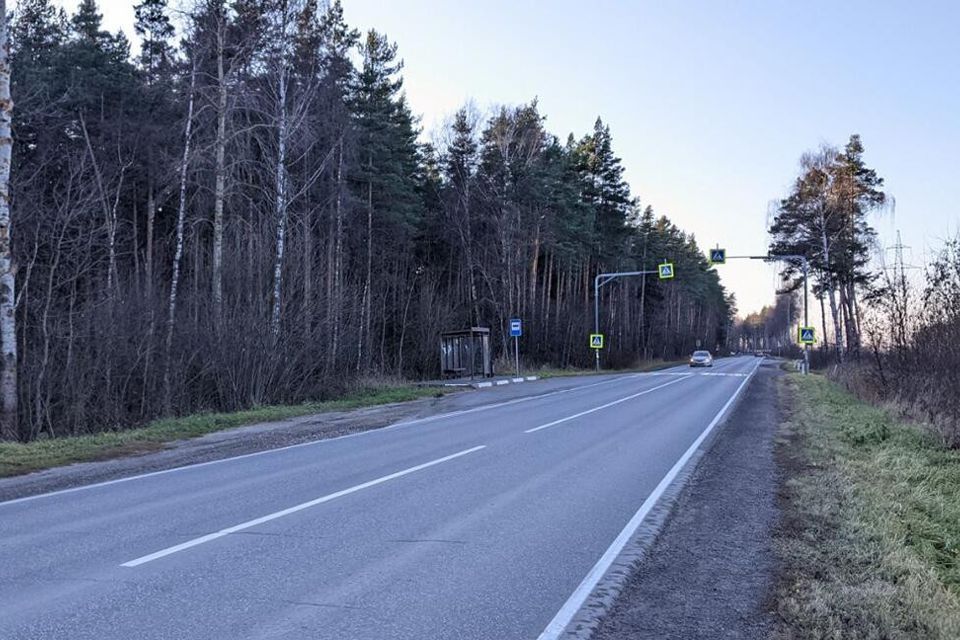 земля городской округ Павловский Посад зона массив Берёзки фото 5