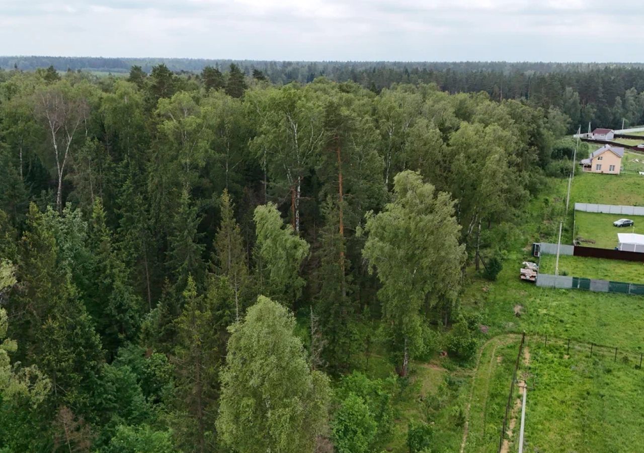 земля городской округ Щёлково д Мишнево ул Кооперативная 30 км, Фрязино, Щёлковское шоссе фото 11