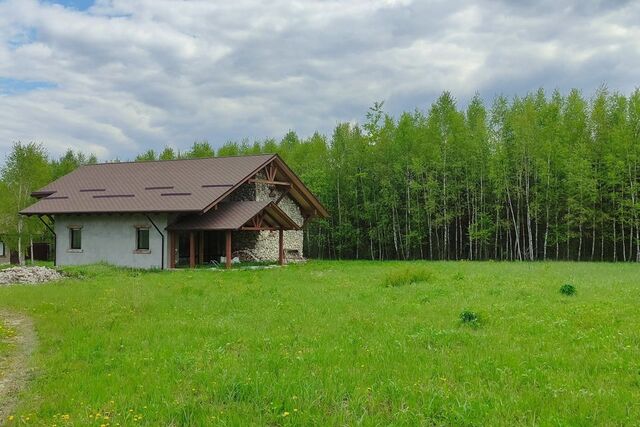 Тула городской округ, Борщевка фото