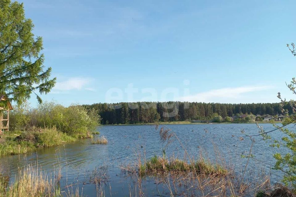 дом р-н Талицкий село Вновь-Юрмытское фото 7