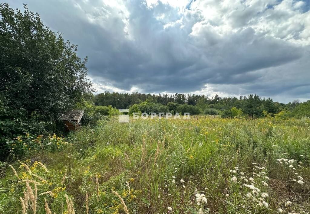 земля р-н Рамонский рп Рамонь Рамонское городское поселение, СНТ Поляна фото 12