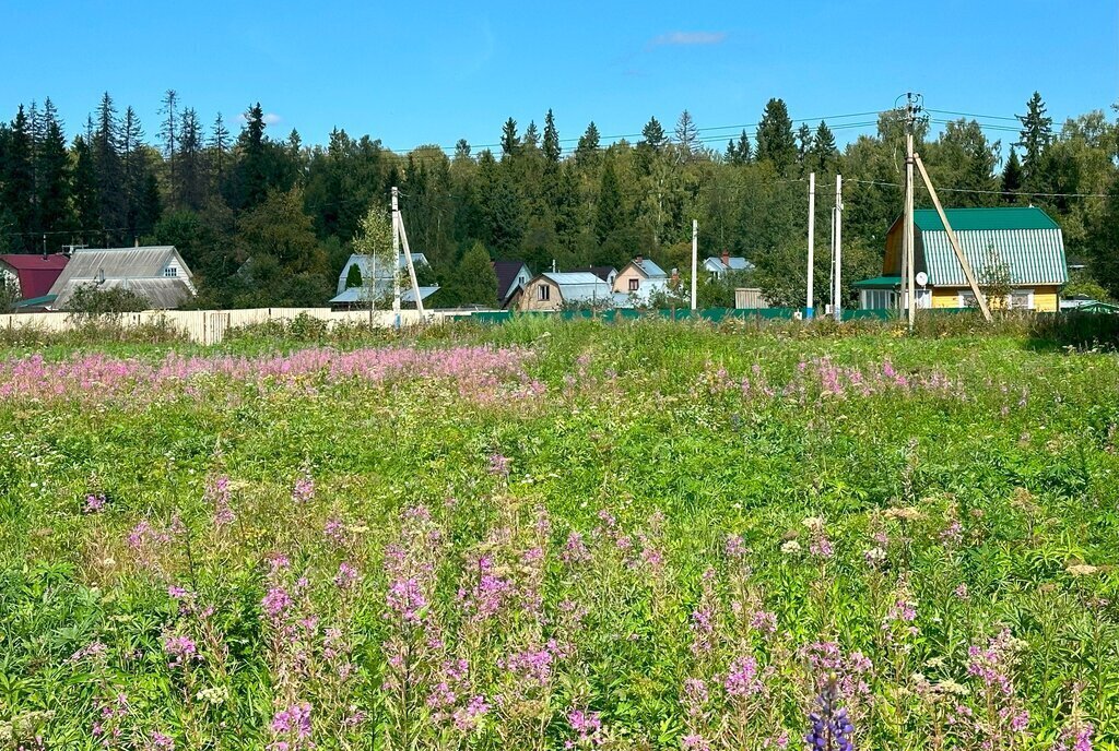 земля городской округ Клин д Решоткино ул Мира фото 2